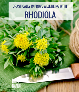 DRASTICALLY IMPROVE WELL-BEING WITH RHODIOLA