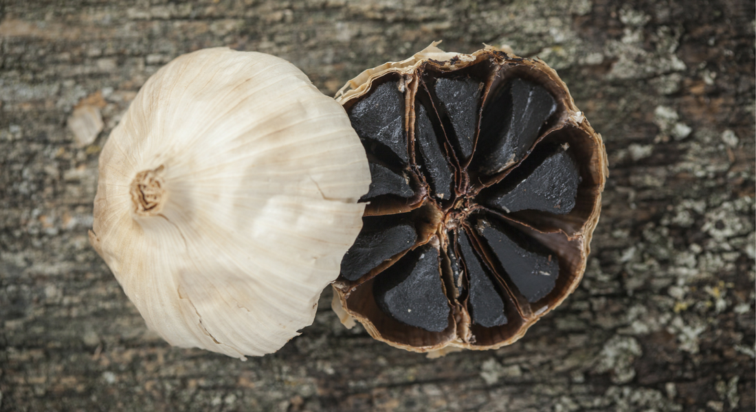 Healthy Black Garlic Tomato Sauce