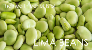 Health Benefits Lima Beans